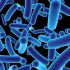 Sangamon County reported 700 additional COVID-19 cases this week