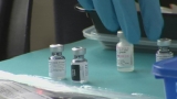 World Health Organization says COVID boosters are needed