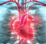 Study Finds Increase in Heart Disease Death Rates During COVID-19 Pandemic