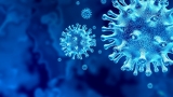Kentucky nursing home has R1 virus variant outbreak: CDC says