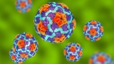 Possible hepatitis A exposure in Oakland, the Maine CDC says