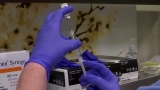 Unvaccinated 11 times more likely to die of COVID-19