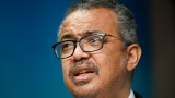 WHO Urges 'Immediate' Food, Medical Aid for Tigray – VOA Africa