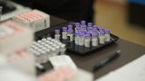 CDC says contact tracing will prevent big surge as delta variant spreads – ABC6OnYourSide.com