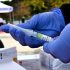 Pandemic panic returns as ‘normal’ 2022 winds up and new year rings in – The New Indian Express