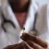 World Health Organization Launches New Initiative to Stop the Spread of Invasive Malaria Vector