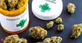 Cannabis – The New World Order, Health News, ET HealthWorld