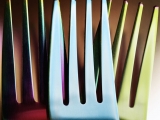 Your taste genes might determine what you like to eat and your health