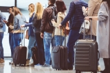 The CDC Just Banned You From Bringing Dogs on Certain Flights — Best Life
