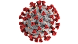 World Health Organization: Global COVID-19 cases surpass 531 million