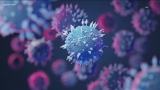 Erie County approaching CDC threshold as ‘high risk’ area of COVID-19 exposure