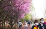 China’s hot spots start easing COVID-19 restrictions