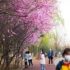 Why are COVID-19 cases rising and will an omicron infection protect me?