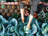 Chores and friendly social visits may lower risk