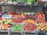 Cognitive decline: Investigating dietary factors