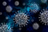 Why do we need a pan-sarbecovirus vaccine?