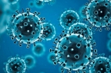 WHO recommends highly successful COVID-19 therapy and calls for wide geographical distribution and transparency from originator