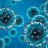 CDC ties Salmonella outbreak to small turtles | News