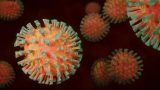New Mutant Delta Plus Variant of Coronavirus Identified. All You Need To Know