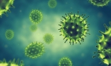 CDC Reports COVID Community Levels Across Middle Tennessee Are ‘Low’