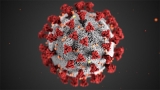 CDC: Monroe County now in ‘high’ COVID-19 transmission category | News