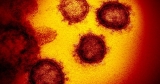 Delta coronavirus variant spreading fast in California