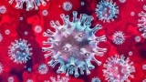Coronavirus Live Updates: Govt to issue new Covid advisory ahead of New Year, upcoming festivals