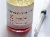 WEEKLY UPDATE: Case Numbers Remain Elevated, CDC Risk is Up