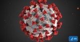 CDC places about half of Florida at high risk for COVID transmission