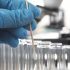 White covid deaths increasing in U.S., surpassing death rate of Blacks