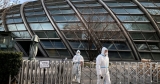 One Million Could Die From COVID in China: What to Know