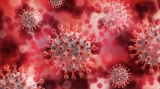 Home-grown monoclonal antibody works against most COVID-19 variants