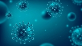 Confused between Covid XBB.1.5 and Omicron BF.7? Here are the differences you should be aware of