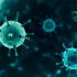 Coronavirus LIVE: India tally crosses 32 million-mark with 36,316 new cases