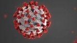 WHO advises against two COVID-19 treatments due to limited effectiveness against Omicron