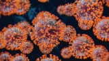 CDC Raises Delaware’s COVID-19 Community Levels To High – CBS Philly