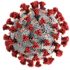 US opens COVID vaccine to little kids, shots begin next week – goskagit.com