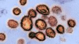 Why COVID is a key suspect in severe hepatitis cases in kids worldwide