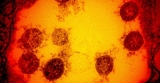 Delta variant spurring uptick in COVID-19 cases largely in unvaccinated