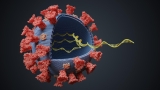 Genetic Sequencing Can Help Predict Severity of Next Variant