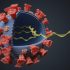 FDA Authorizes Bivalent COVID-19 Boosters; CDC Sign-Off Expected By Weekend