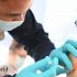 Will the Pandemic Really End Next Year? What the Experts Think