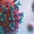CAHAN issues Salmonella health advisory for travelers to and from Mexico