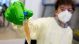 COVID-19 wastewater data signals potential viral plateau after weeks of declines