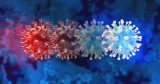 CDC adds omicron subvariant BA.2 to online tracker