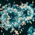 WHO appeals to China to release more COVID-19 information