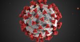New York is the only state, according to the CDC, with multiple counties at high risk of COVID-19 impacts