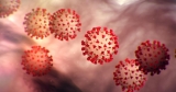 CDC report says pandemic reversed progress on antimicrobial resistance