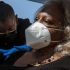 World Health Organization blames Delta variant for Middle East virus surge, World News