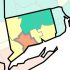 New York raises monkeypox alarm, San Francisco declares emergency | Health News